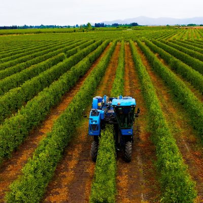 AGRICULTURA (1)